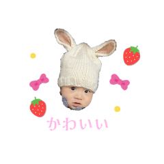 TANUKI_20250125191214