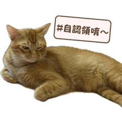 日常用語___2