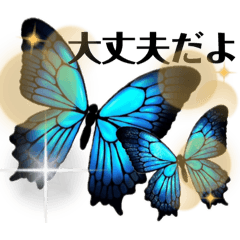 Happiness butterfly ulysses 528 original