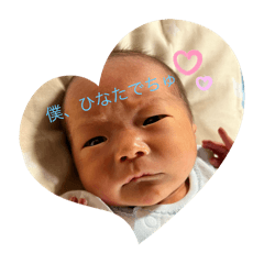 michan_20250125163921