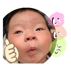 natsu_20250125163629