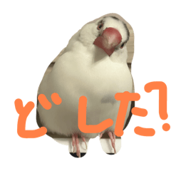 GON_20250125192725