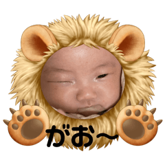kii_20250125193530