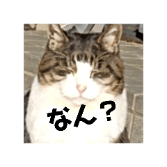 hitomi_20250125194319