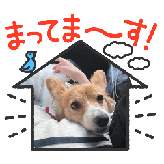 Cherry to Boku