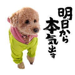 BUNTA._20250125182316