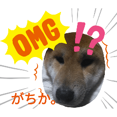 aimi_20250125224818