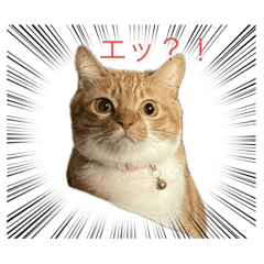 miumiu_20250126004440