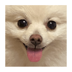 kana_20250126003151
