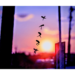 wing_20250125115142