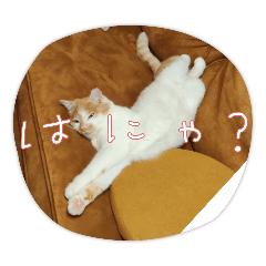 sato_20250126114428