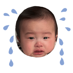koba_20250126120514