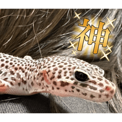 nao_20250126113913