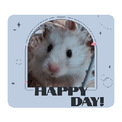 ichimikunn_20250125171452