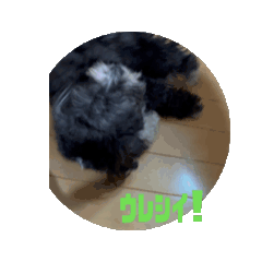 Kosuke_20250125205156