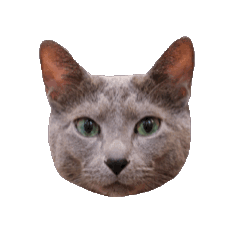 子子｜動動篇 #1