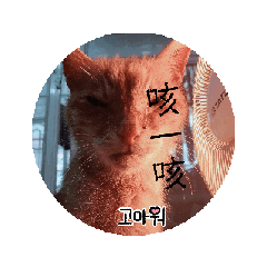 小乖貼圖（動態2）