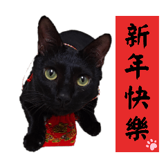 黑貓的節慶氣氛