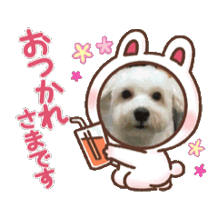 Sachi_20250126145207