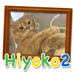 Persian Cat Hiyoko Sticker 2