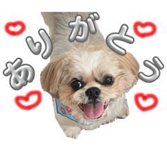 nono_20250126133625
