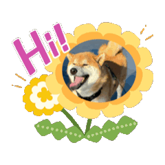 隨便放