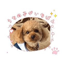 TOMOMI_20250126221047