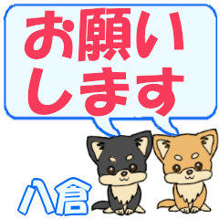 Yakura's letters Chihuahua2