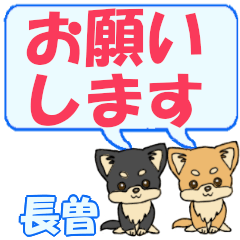 Chouso's letters Chihuahua2