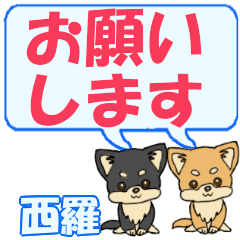 Nishira's letters Chihuahua2