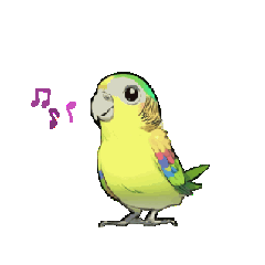 Moving Parakeet