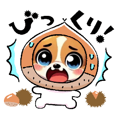 mikan_20250125155007