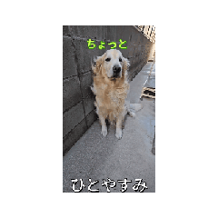 dai_20250125164709