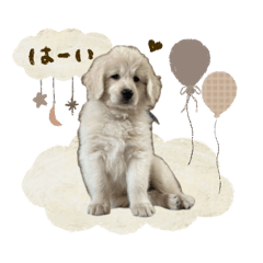 sora-stickers