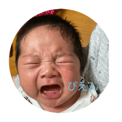 misa_20250126143032