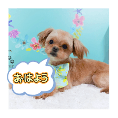 nanamin_20250126151937