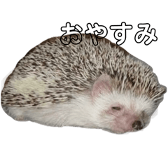 sun_20250126145728