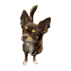 erika_20250125221259