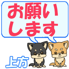 Kamigata's letters Chihuahua2