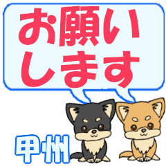 Koushuu's letters Chihuahua2