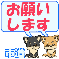 Shidou's letters Chihuahua2