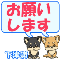 Shimotsuura's letters Chihuahua2