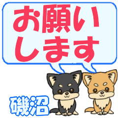 Isonuma's letters Chihuahua2