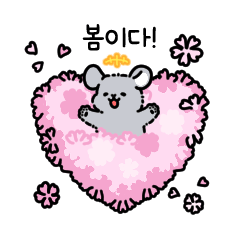 Cute Chinchilla Spring_Korean