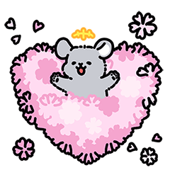 Cute Chinchilla Spring