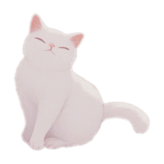 simple is Best White cat