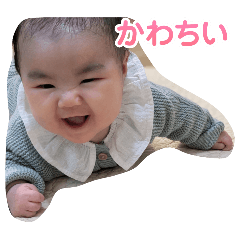 suiko1
