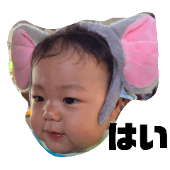 RYO_20250126094405