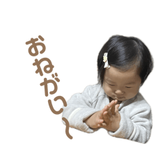 suzu_20250126165300