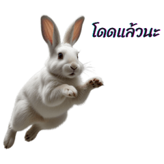 White rabbit likes to invest.